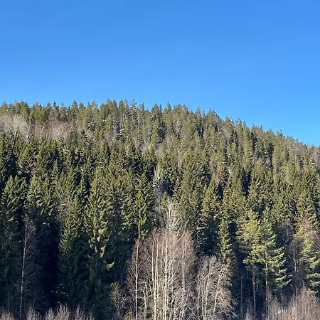 Tahkonkehto E 201 Tahkovuori